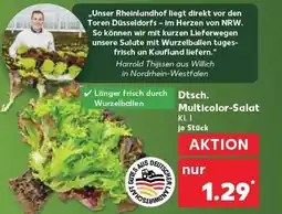 Kaufland Multicolor-Salat tilbud