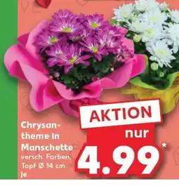 Kaufland Chrysan- theme in tilbud