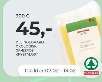 Netto 300 g. økologisk krystalost tilbud