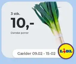 Netto 3 stk. danske porrer tilbud