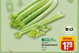 REWE Bio Staudensellerie tilbud