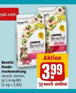 REWE Beneful Hunde- trockennahrung tilbud