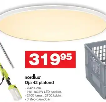 Bauhaus nordlux® Oja 42 plafond tilbud