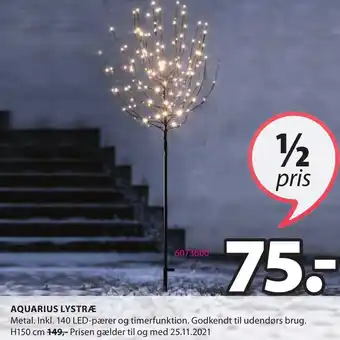 Aquarius Lystræ