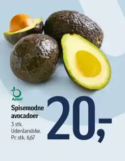 Føtex Spisemodne avocadoer tilbud