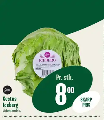 Min Købmand Gestus Iceberg tilbud