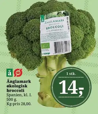 Dagli'Brugsen Änglamark økologisk broccoli tilbud