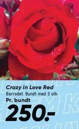 Bilka Crazy in Love Red tilbud