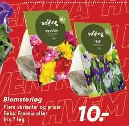 Bilka Blomsterløg tilbud