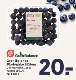 SPAR Grøn Balance Økologiske Blåbær 125 g tilbud