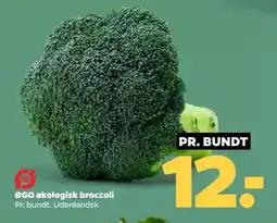 Netto ØGO økologisk broccoli tilbud