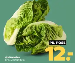 Netto Mini romaine tilbud