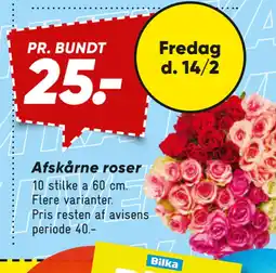 Bilka Afskårne roser tilbud