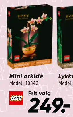 Bilka Mini orkidé tilbud