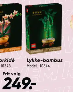 Bilka Lykke-bambus tilbud