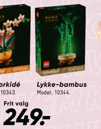 Bilka Lykke-bambus tilbud