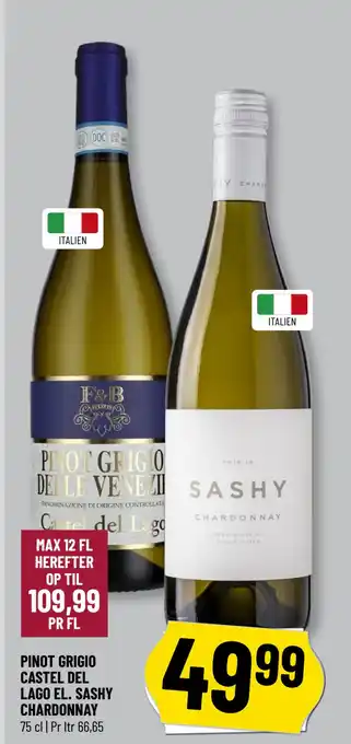 Løvbjerg PINOT GRIGIO CASTEL DEL LAGO EL. SASHY CHARDONNAY tilbud