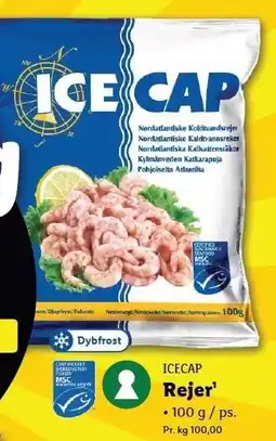 Lidl Icecap Rejer tilbud