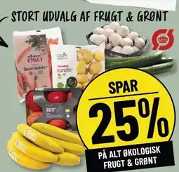 Løvbjerg SPAR 25% PÅ ALT ØKOLOGISK FRUGT & GRØNT tilbud