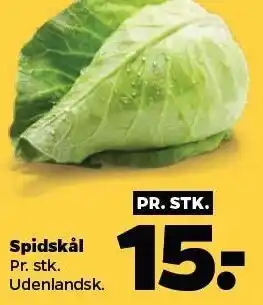 Netto Spidskål tilbud