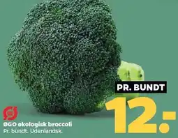 Netto ØGO økologiske broccoli tilbud