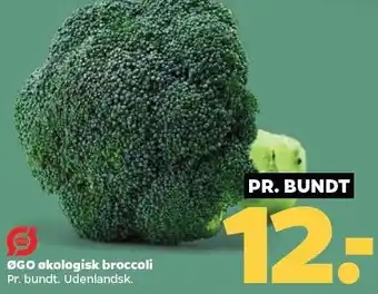 Netto ØGO økologiske broccoli tilbud