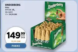 Scandinavian Park UNDERBERG tilbud