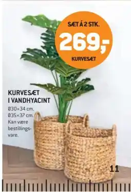 XL-BYG Kurvesæt i vandhyacint tilbud