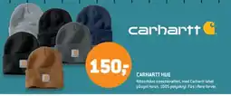 XL-BYG CARHARTT Hue tilbud