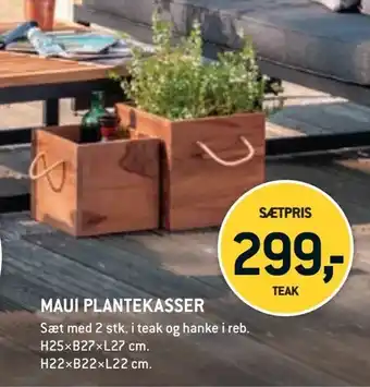 Maui plantekasser