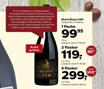 Black Blaze GSM