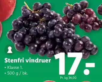 Lidl Stenfri vindruer tilbud