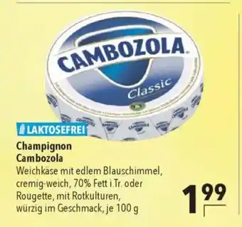 Citti Champignon cambozola tilbud