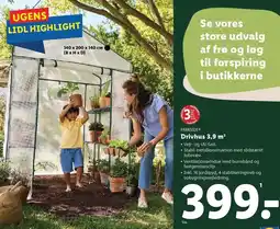 Lidl Drivhus 3,9 m tilbud