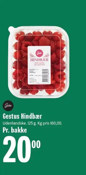 Min Købmand Gestus Hindbær tilbud