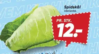 Bilka Spidskål tilbud