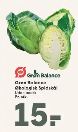 SPAR Grøn Balance Økologisk Spidskål tilbud