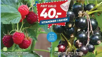 Bilka Vitaminer i haven tilbud