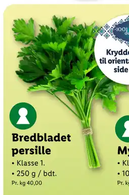 Lidl Bredbladet persille tilbud