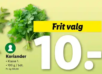 Lidl Koriander tilbud