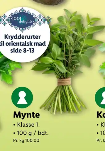 Lidl Mynte tilbud