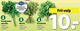 Lidl Bredbladet persille, Mynte eller Koriander tilbud