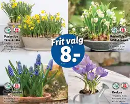 Lidl Frit valg tilbud