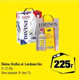 Calle Divine Vodka el. Lordson Gin 31.37,5% tilbud