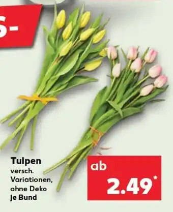 Kaufland Tulpen tilbud