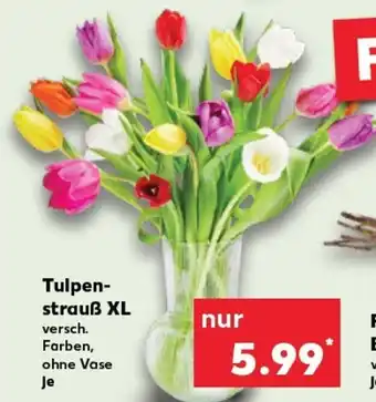 Kaufland Tulpen- strauß xl tilbud