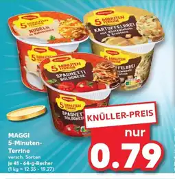 Kaufland MAGGI 5-Minuten- Terrine tilbud