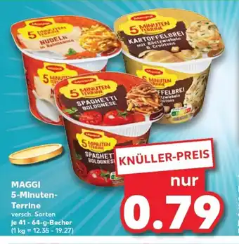 Kaufland MAGGI 5-Minuten- Terrine tilbud