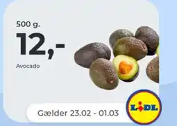 Netto Avocado tilbud