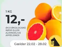 Netto ØGO økologiske røde eller almindelige appelsiner, 1 kg tilbud